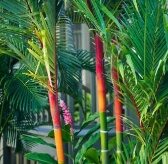 Hana Apartment | Hana Kai Maui - #103 Helani oceanview 1 BR