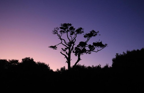 Stewart Island House | Hananui PurePod