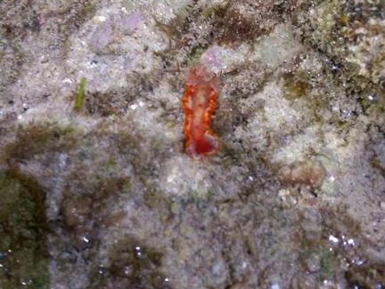 Liuqiu House | Happy B&B