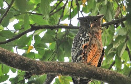 Mandangarh House | Happy Cottages