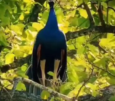 Mandangarh House | Happy Cottages