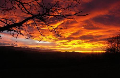 Lasserre House | Haras Picard Du Sant Le Chalet