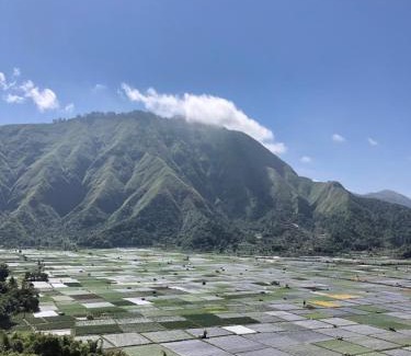 Bayan Cabin | Haris Homestay & Cottages