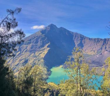 Bayan Cabin | Haris Homestay & Cottages