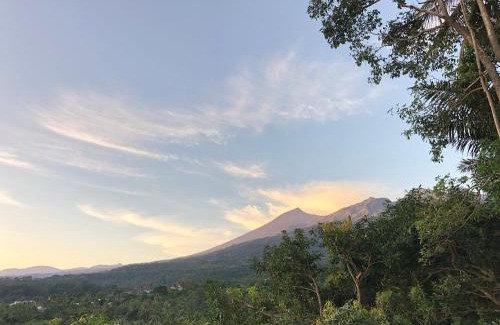 Bayan Cabin | Haris Homestay & Cottages