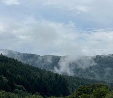 Skole Apartment | harmony.of.mountains twin room