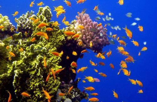 Safaga Hotel | hassany hotel