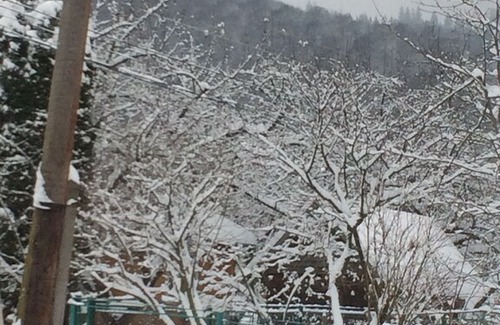 Yaremche House | Hata