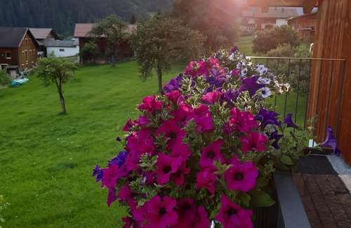 Gortipohl Apartment | Haus Carmen, family-friendly 4 Edelweiss holiday apartment with BergePlus program