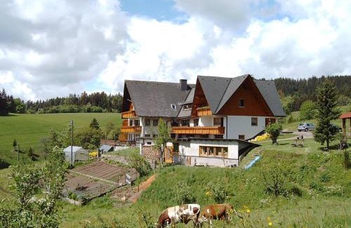 Sankt Georgen im Schwarzwald Apartment | Haus Erlenmoos