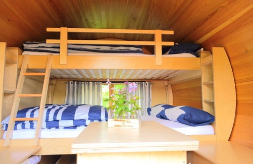 Uslar Hotel | Haus der Schmetterlinge