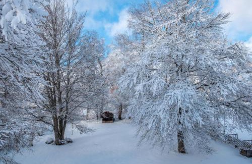 Saig Apartment | Haus Doktor Saeltzer