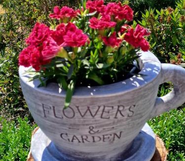 Kirchdorf im Wald Apartment | Haus Eschenberg