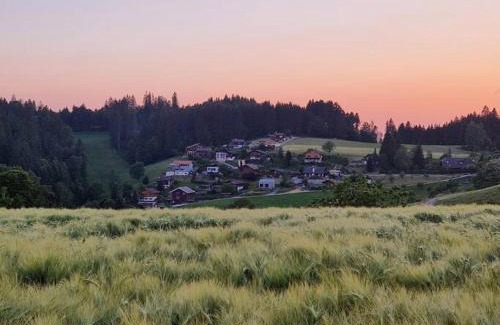 Vechigen House | Haus für Familien