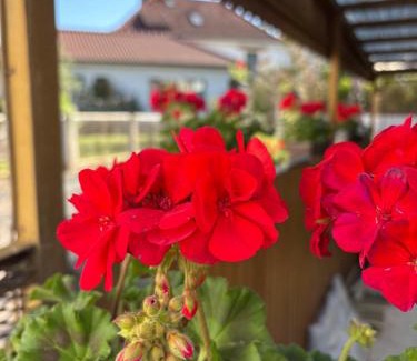 Meiningen Apartment | Haus Hannah