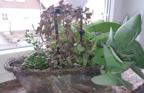 Schauenburg Apartment | Haus Maruna