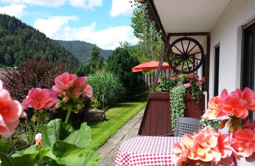 St. Blasien Apartment | Haus Schäfer