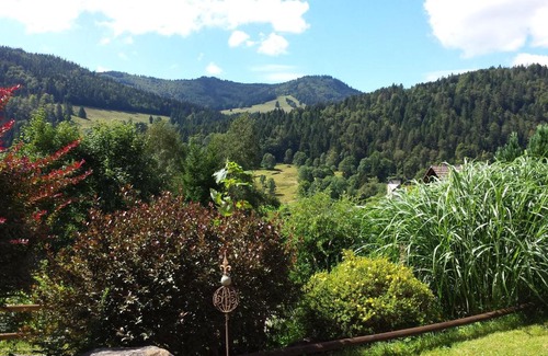 St. Blasien Apartment | Haus Schäfer