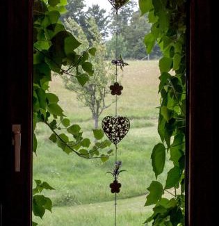 Bernshausen Apartment | Haus Sohl am Rothaarsteig