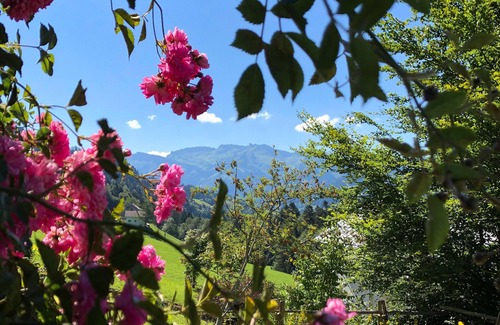 Sibratsgfaell Apartment | Haus Verdandi - Find peace in the here and now