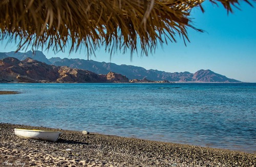 Nuweiba Resort | Haven Beach camp and Resturant