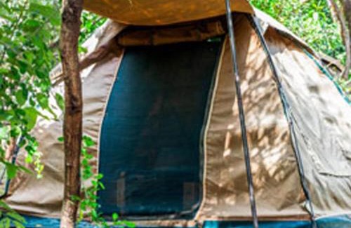 Simanjiro Other | Havennature Safari Camp and Lodge