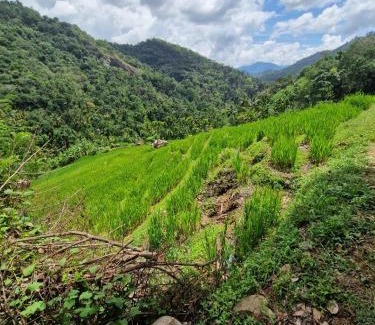 Medadumbara Resort | Heeloya mount view garden