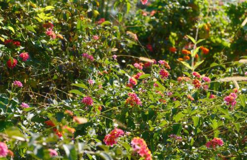 Lukove Apartment | Helen Apartments