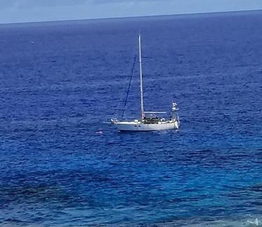 Alofi Cabin | Heleni Jessop's Fatahega