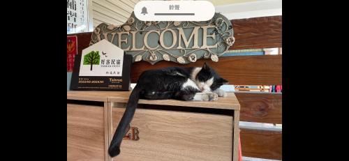 Hemei House | HeMei Homestay