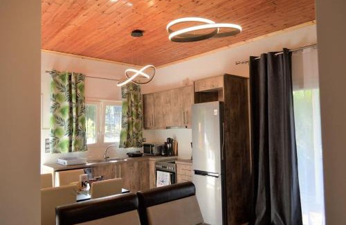 Dio-Olympos Apartment | Hephaestus Appartments Litochoro -A1