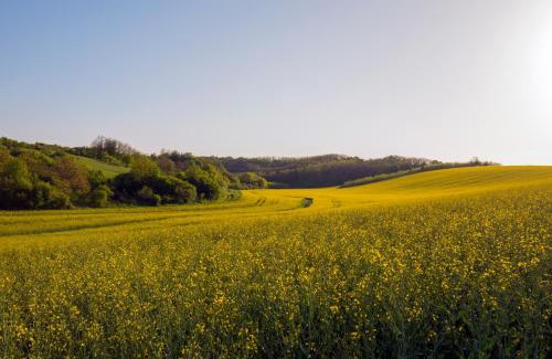 Tereny House | Herőke Vendégház