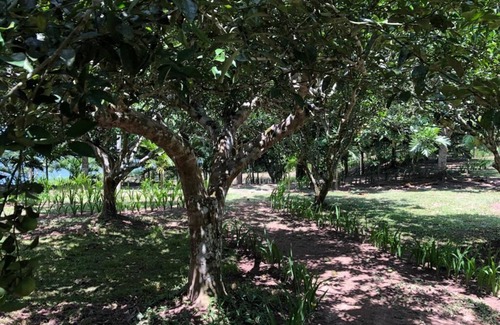 Sauce House | Hermosa casa de lujo en la selva, a orillas de la Laguna Azul.