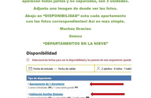 Penitentes Apartment | Hermoso departamento frente a las montañas