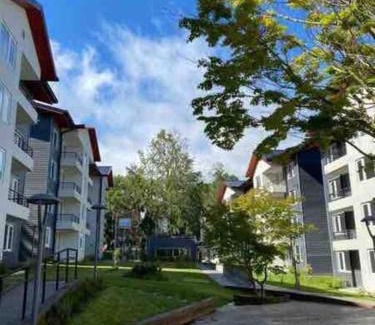 Pucon Apartment | Hermoso Departamento para disfrutar y descansar