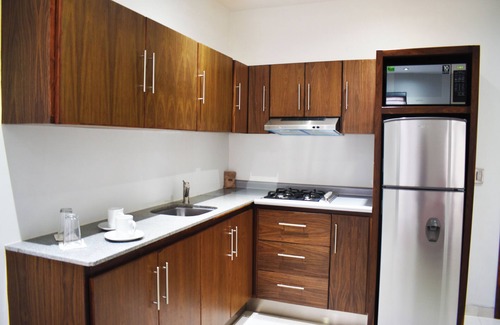 Aguascalientes Apartment | Hermoso Lof't Familiar EN EL Centro DE LA CD, Equipado, Garage, Wifi