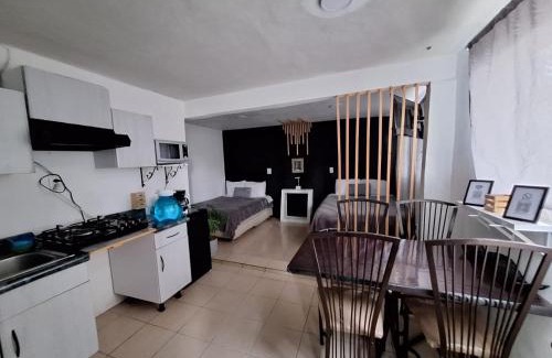 Venustiano Carranza Apartment | Hermoso Loft a 15min AICM