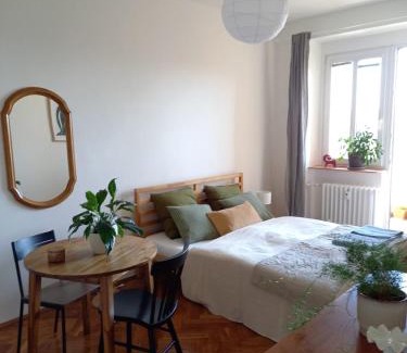 Vrsovice Apartment | Hezký apartman s balkonem