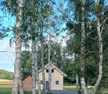 Tisina House | Hiša Štolc