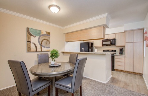 Astrodome Apartment | *Hidden Gem* cozy 1 bd/1bath NRG/TMC/DT/Zoo/Museums