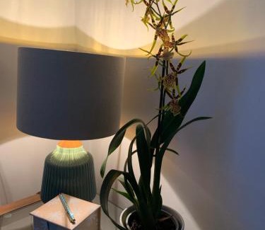 Salisbury Apartment | Hideaway Holiday Apartment