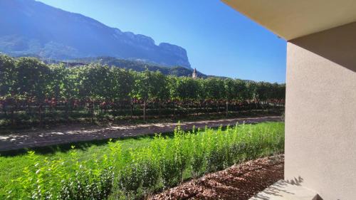 Appiano Sulla Strada del Vino Apartment | Highlight Apartments