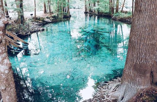 High Springs House | High Springs FL Hideaway