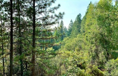 Apple Hill House | Hiking Bike Trails Family Fall Fun-Apple Hill