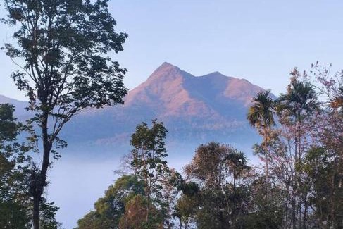 Kottappadi part Villa | Hill Side Villa, Meppadi,Wayanad