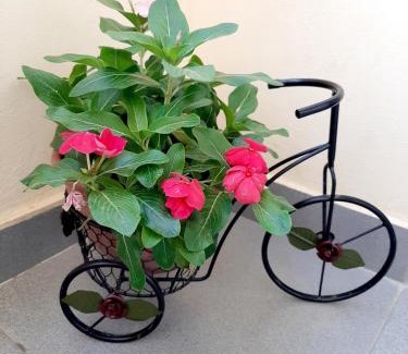 Tsaghkadzor Apartment | Hillside Apartment Tsaghkadzor