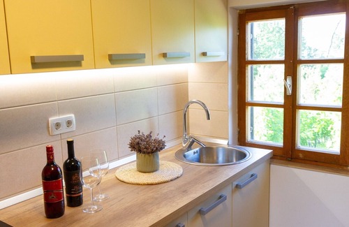 Cerklje ob Krki House | Hillside Haven Holiday Home with Sauna and Hot-Tub - One Bedroom Holiday Home with Sauna and Hot-Tub