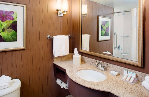 Windsor Hotel | Hilton Garden Inn Hartford North/Bradley Int'l Airport