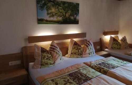 Abtenau Ski Chalet | Hinterlammerain