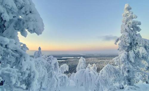 Kuusamo Ski Chalet | Hirsimökki 3 mh ja sauna